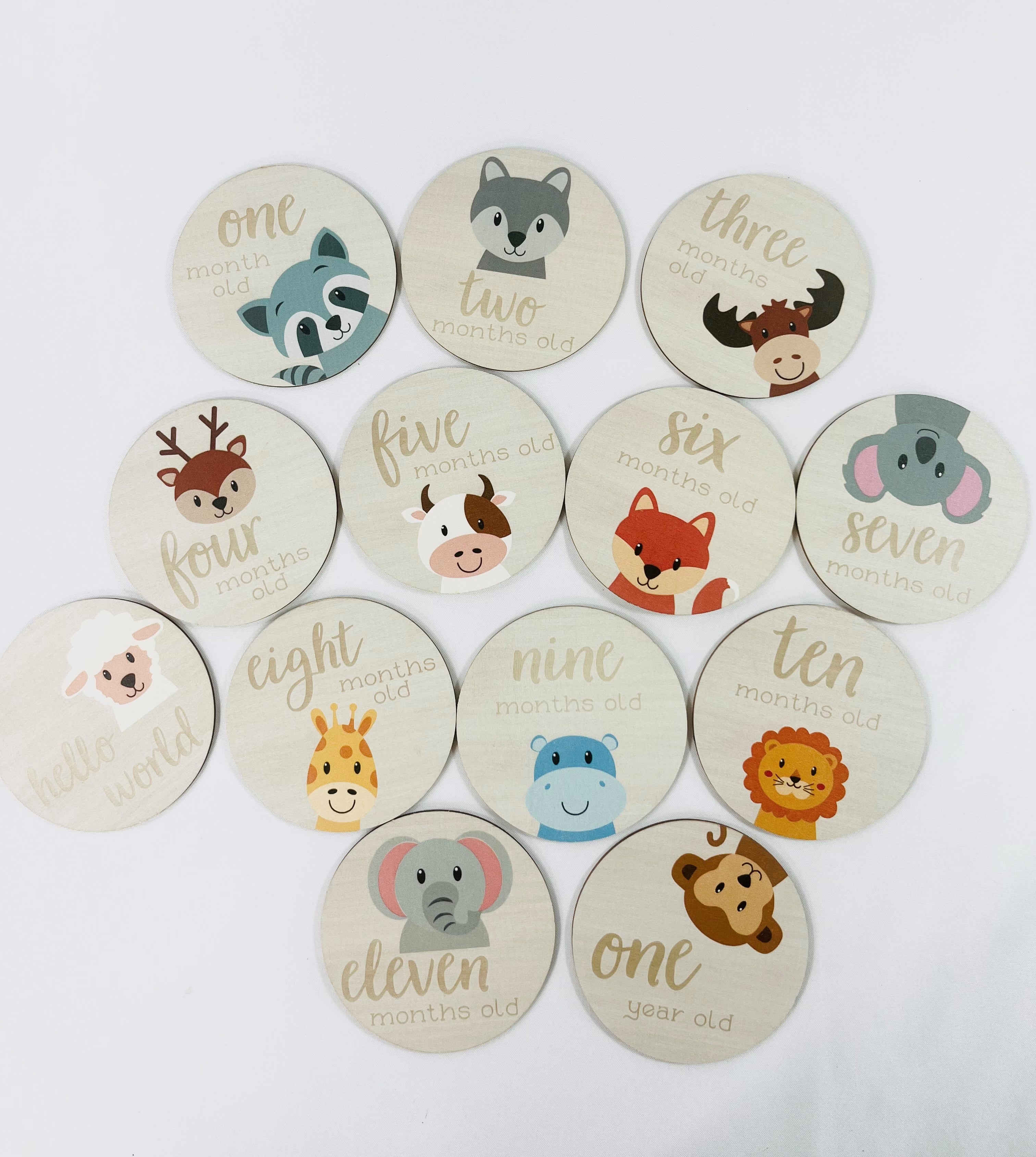 Baby Milestone Cards